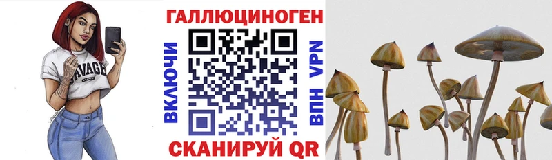 Галлюциногенные грибы Magic Shrooms  Калуга 